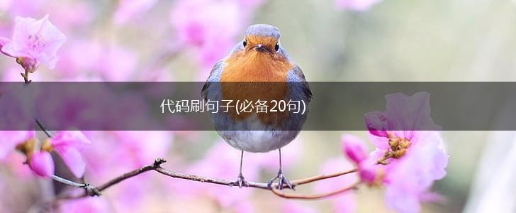代码刷句子(必备20句),第1张