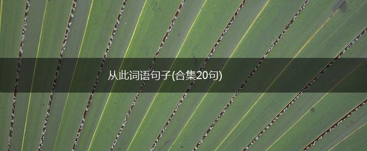 从此词语句子(合集20句),第1张