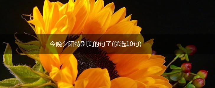 今晚夕阳特别美的句子(优选10句),第1张