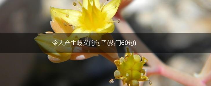 令人产生歧义的句子(热门60句),第1张