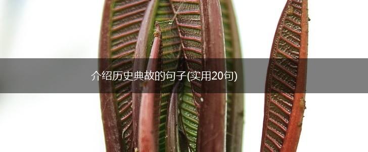 介绍历史典故的句子(实用20句),第1张