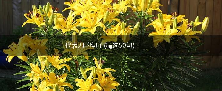 代表刀的句子(精选50句),第1张