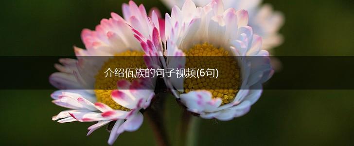 介绍佤族的句子视频(6句),第1张