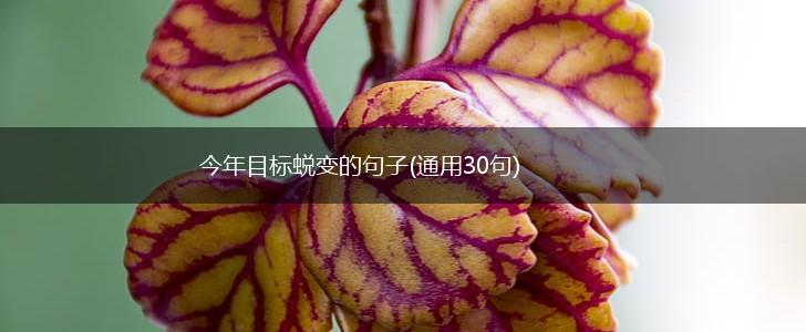 今年目标蜕变的句子(通用30句),第1张