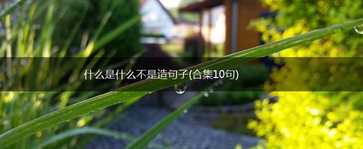 什么是什么不是造句子(合集10句),第1张 什么是什么不是造句子(合集10句),第1张