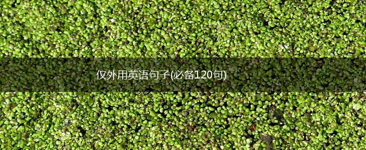 仅外用英语句子(必备120句),第1张