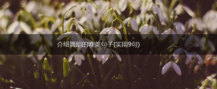 介绍舞蹈的唯美句子(实用9句),第1张 介绍舞蹈的唯美句子(实用9句),第1张