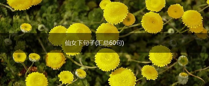 仙女下句子(汇总60句),第1张