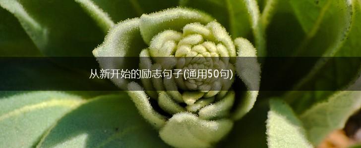 从新开始的励志句子(通用50句),第1张