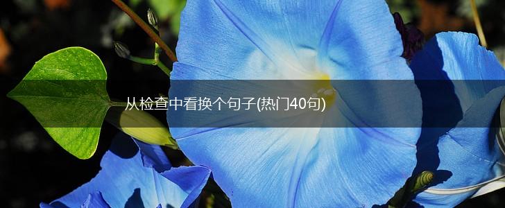 从检查中看换个句子(热门40句),第1张