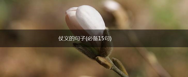 仗义的句子(必备15句),第1张