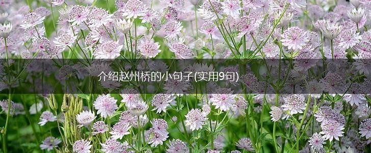 介绍赵州桥的小句子(实用9句),第1张