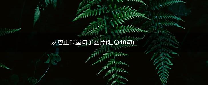 从容正能量句子图片(汇总40句),第1张