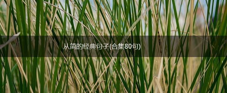 从简的经典句子(合集80句),第1张