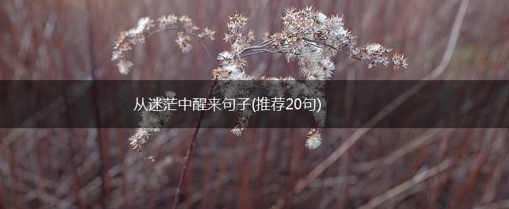 从迷茫中醒来句子(推荐20句),第1张