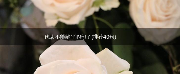 代表不能躺平的句子(推荐40句),第1张