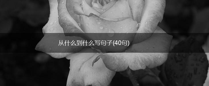 从什么到什么写句子(40句),第1张