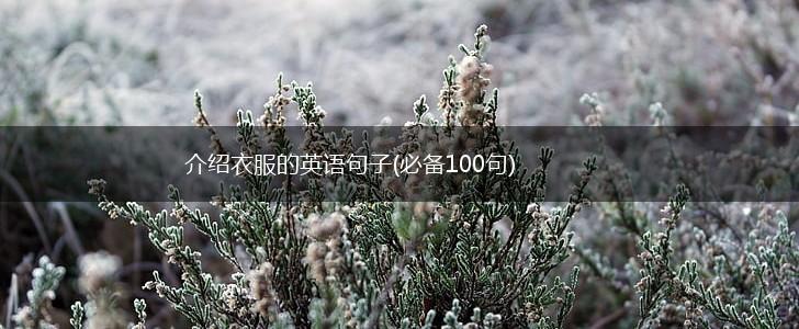 介绍衣服的英语句子(必备100句),第1张