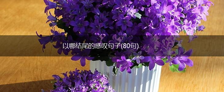 以哪结尾的感叹句子(80句),第1张